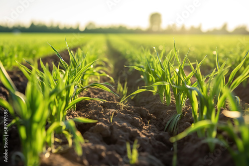 regenerative agriculture, green field, soil, eco-friendly, environment conscious, farming, healthy ecosystem, generative ai