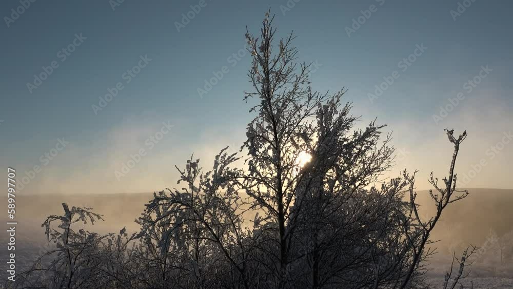Iceland. Beautiful winter landscape. Dramatic natural landscape in Iceland. Winter scene with melting snow falling off the trees. Beautiful gold sun. Global warming, climate change Iceland. Beautiful winter landscape. Dramatic natural landscape in Iceland. Winter scene with melting snow falling off the trees. Beautiful gold sun. Global warming, climate change
