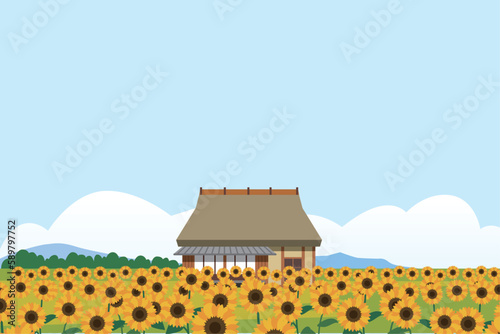 日本の夏　田舎の古民家屋背景
