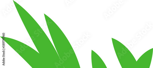 Cute Corn Plant