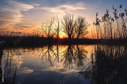 Beautiful summer evening landscape. Dry tree and grass reflecting in the river. Photo taken in Pinczow, Poland.