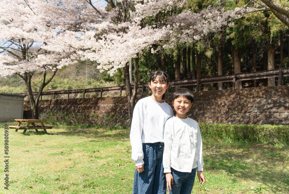 Fototapeta premium 桜の下で記念撮影をする小学生の男女 