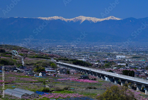 Peach trees are in full blossom and the Linear Shinkansen is running against the background of Sothern Japan Alps in Fuefuki Shangri-la