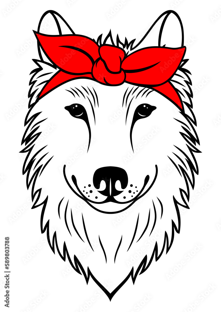Fototapeta premium Wolf with red bandana outline, vector illustration, forest animal. Wodland animal icon isolated