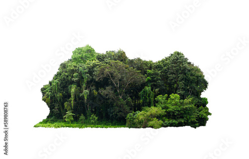 	
Group green tree on transparent background. png file. Cutout tree line. Row of green trees and shrubs in summer isolated transparent background. Forest Scene. Forest and green foliage.