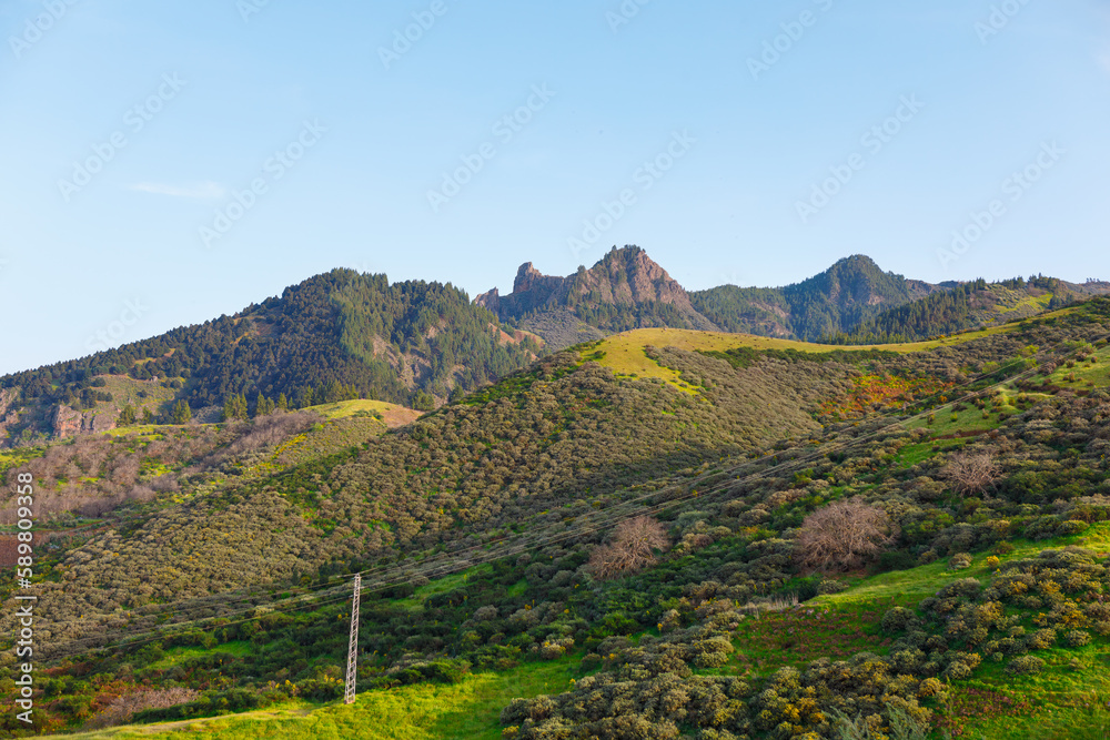 Mountainous landscape of Gran Canaria . Spectacular green mountains scenery 