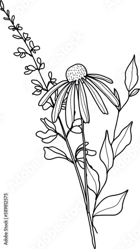 Linear wildflowers bouquet. Summer meadow line art wildflowers, herbs and stems. 