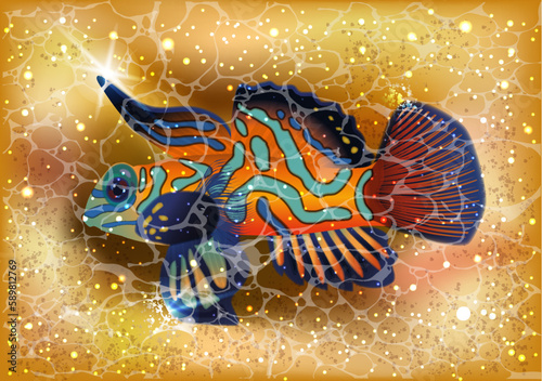 Tropical fish summer greeting card  vector illustration