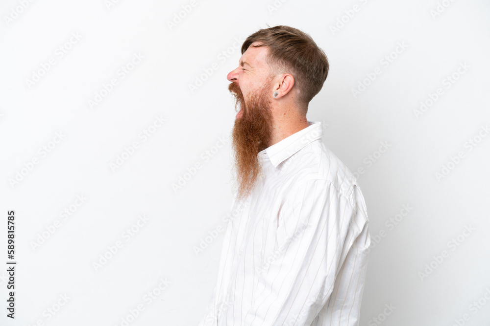 Redhead man with long beard isolated on white background laughing in lateral position Redhead man with long beard isolated on white background laughing in lateral position