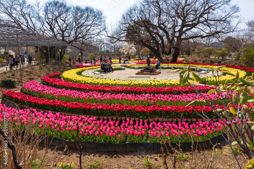 あしかがフラワーパーク　花壇