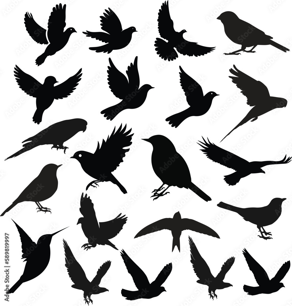 Bird Silhouette, Flying Birds Silhouettes vector Bird Silhouette, Flying Birds Silhouettes vector