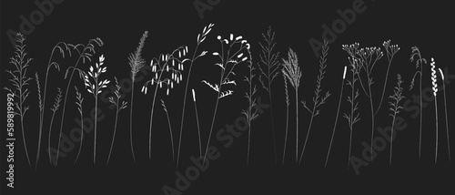 Field and meadow herbs, white outline on black background, trend sketch for eco design. Sketch of medicinal plants, vector drawing for packaging or textile.