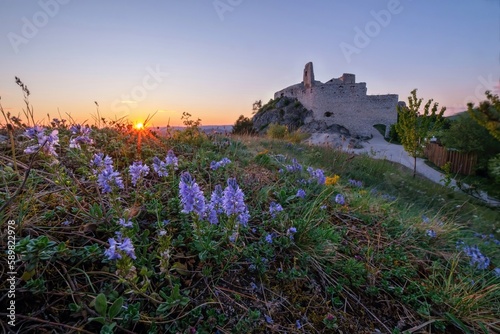 Spring flowers in the meadow at sunset, in the background an old castle ruin. Walks in nature, healthy lifestyle. photo