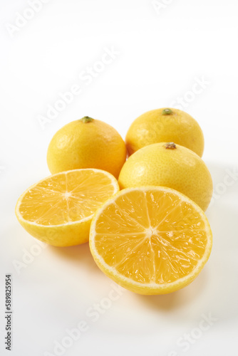 柑橘 湘南ゴールド 白背景