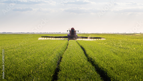 Fotografie Tractor spraying pesticides wheat field.