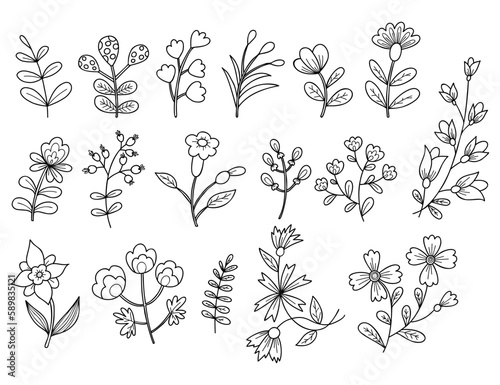 Collection various flowers and branches. Vector illustration. Isolated linear hand drawn doodle plants.
