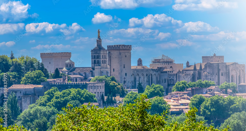 View of Papal Palace of Avignon town. France