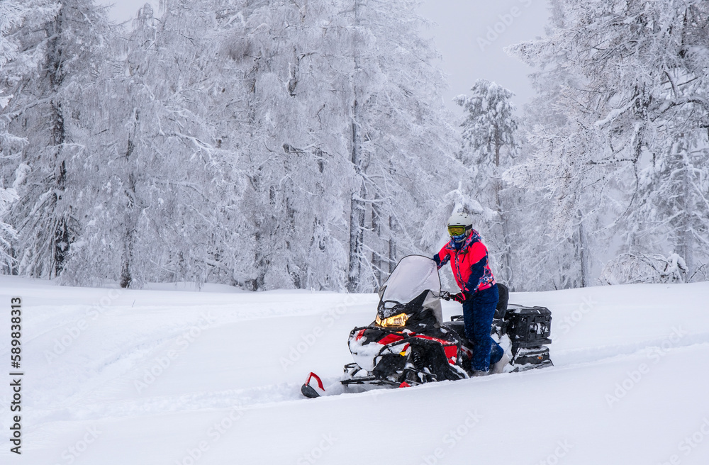 An athlete on a snowmobile moves through the winter forest in the mountains of the Southern Urals