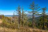 Forest on a mountain slope on an autumn day in the mountains of the South Urals