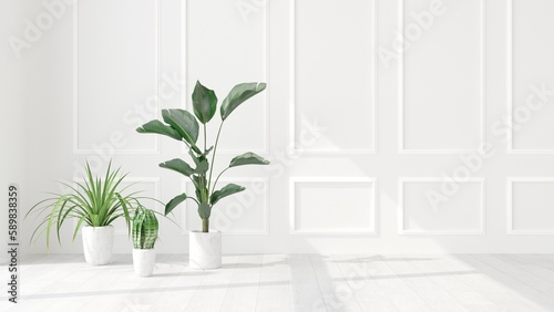 Indoor tropical house plants near white wall with sunlight from window. Mockup for home interior decoration background