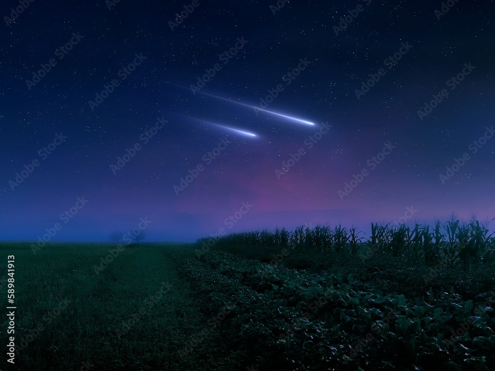 Fototapeta premium Falling meteorites. Two meteors in the night sky over green fields. Dreamlike night landscape with stars and comets.