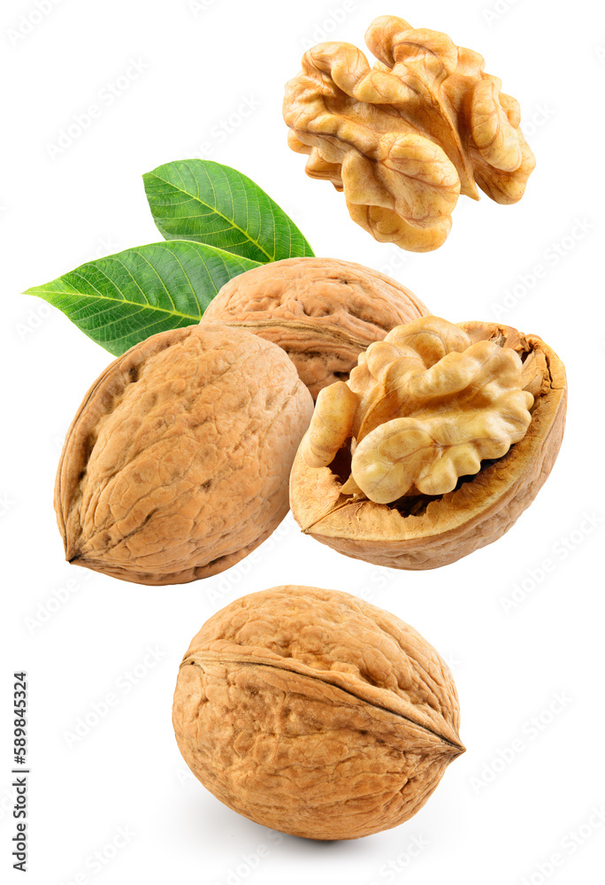 Walnut isolated. Walnut peeled and unpeeled on white background. Walnut with leaves and kernel flying collection. Side view. Full depth of field. Walnut isolated. Walnut peeled and unpeeled on white background. Walnut with leaves and kernel flying collection. Side view. Full depth of field.