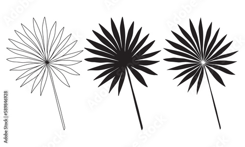 Set of three tropical leaves. Outline and silhouette flat tropical leaves.