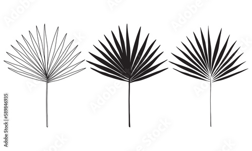 Set of three tropical leaves. Outline and silhouette flat tropical leaves.