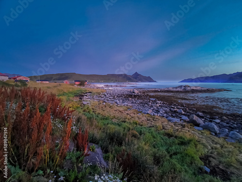 Coastal Landscape from Lofoten islands