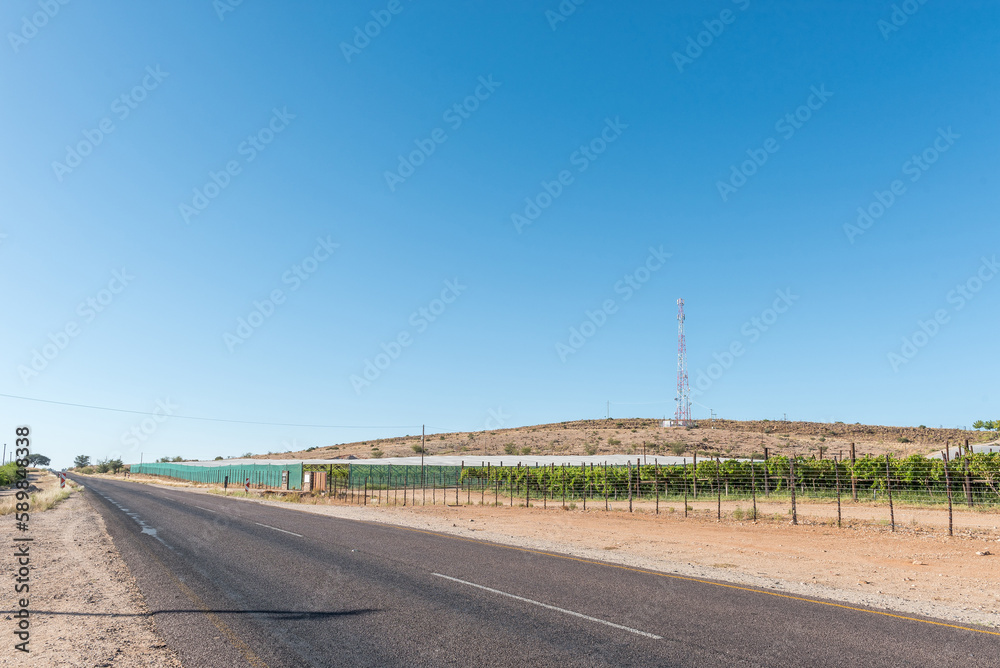 Fototapeta premium Vineyards next to road R359 near Marchand