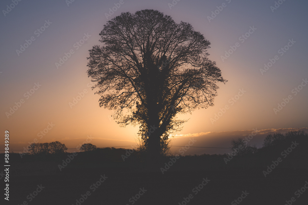 Norwich winter countryside 