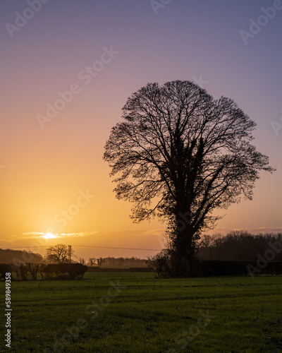 Norwich winter countryside 