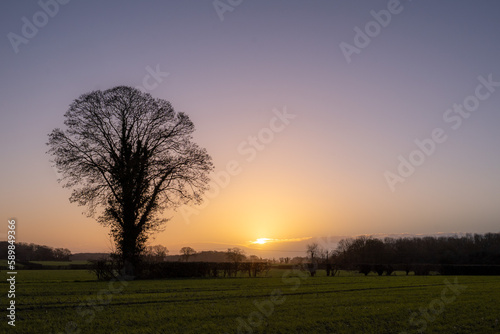 Norwich winter countryside 