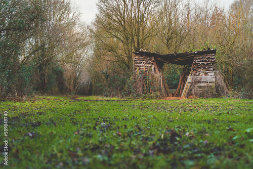 Norwich winter countryside 