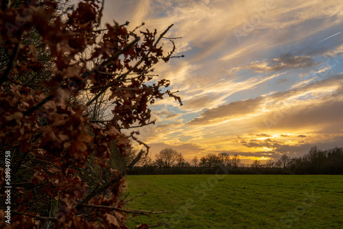 Norwich winter countryside 