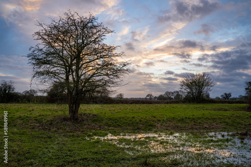 Norwich winter countryside 