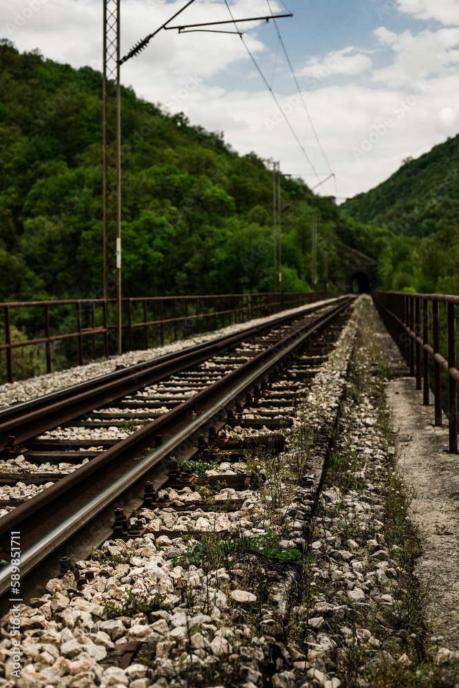 Vertical shot of a railway with a background of green trees Vertical shot of a railway with a background of green trees