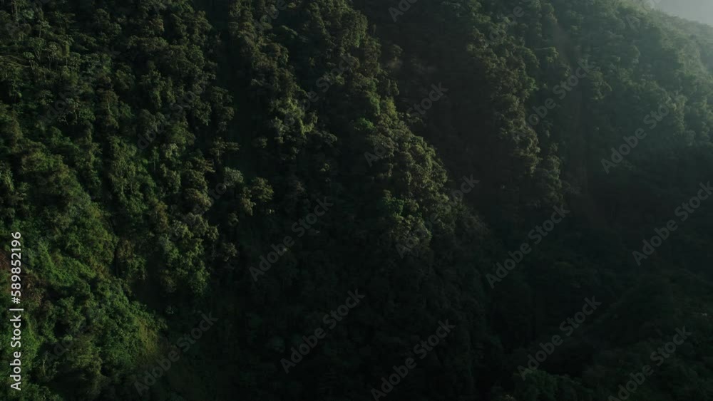 Aerial view of a rainforest in the mountains Aerial view of a rainforest in the mountains