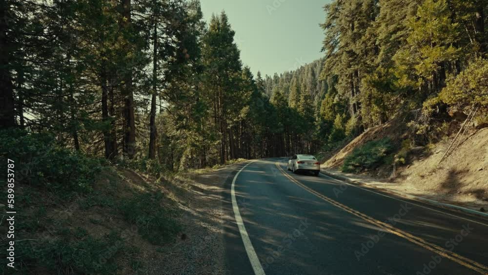 Car driving on the road surrounded by forests Car driving on the road surrounded by forests