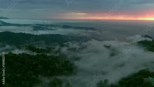 Aerial of mountains covered in fog at sunset in Mashpi biodiversity reserve, Ecuador.