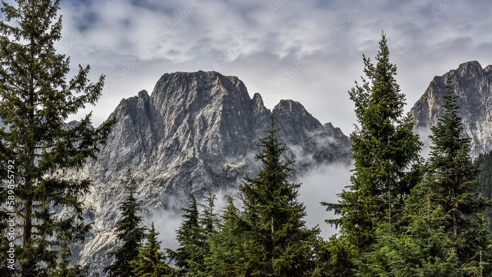 Picturesque view of a rocky peak behind pine trees