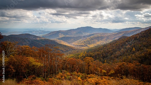 Scenic shot of a fall forest against the mountains' background