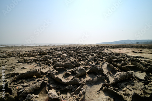 Dry mud on Chilika lake-bed Odisha, India.
