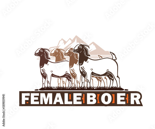 FEMALE BOER BREED GOAT LOGO, silhouette of great at farm vector illustrations