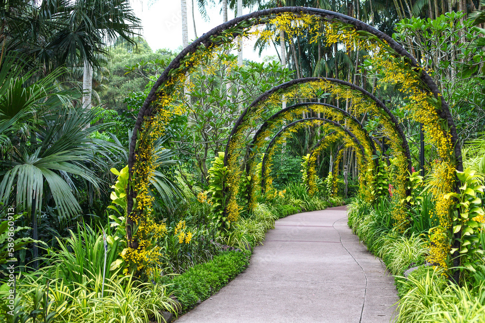 Fototapeta premium Singapore Botanic Gardens