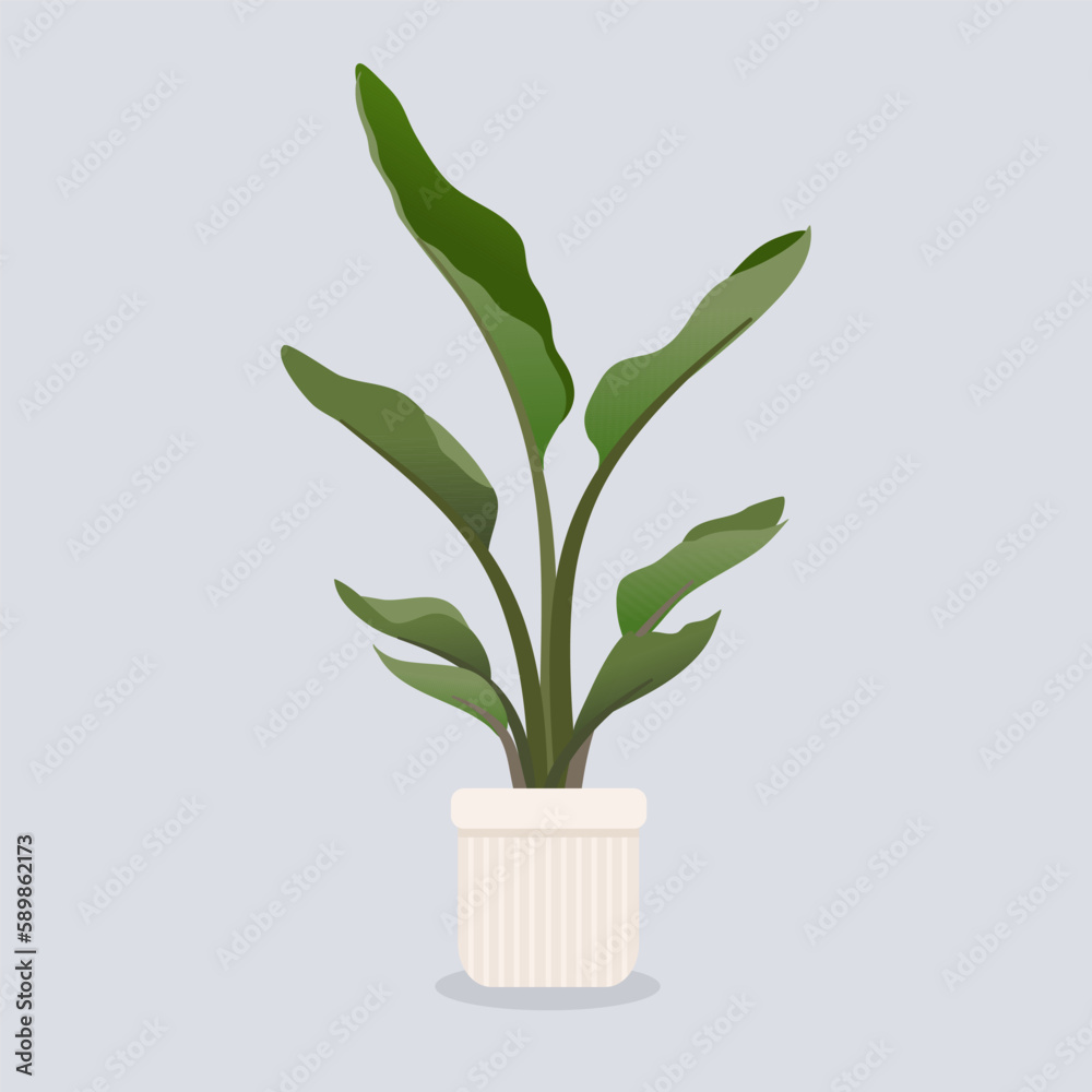 Illustration potted palm for the interior. Isolated. Illustration potted palm for the interior. Isolated.