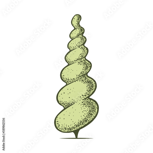Sketch of topiary coniferous trees. Sheared thuja cone spiral. Geometric trees for advertising and landscape design. Isolated on white background. Vector