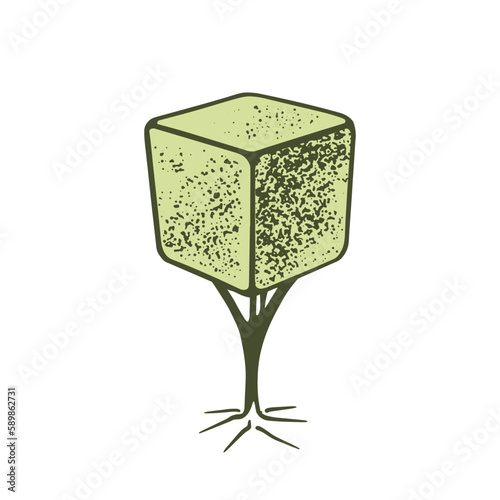 Sketch of topiary coniferous trees. Sheared thuja cube on a stem. Geometric trees for advertising and landscape design. Isolated on white background. Vector