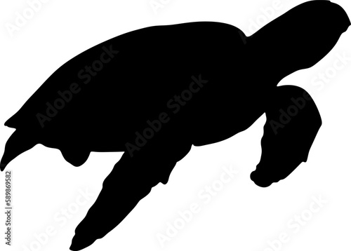 Sea turtle silhouette vector, Animal in black and white. illustration