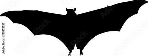 bat silhouette, vector, illustration